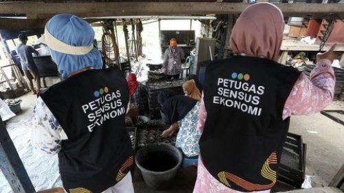 Petugas Sensus Ekonomi 2026.(ilustrasi/int)
